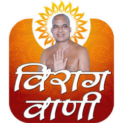 गणाचार्य श्री 108 विरागसागर जी महाराज